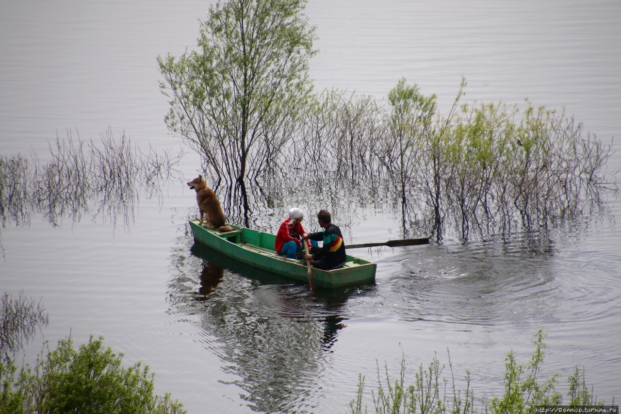 Эпизод 8: Двое в лодке не считая собаки Раскаты, Россия