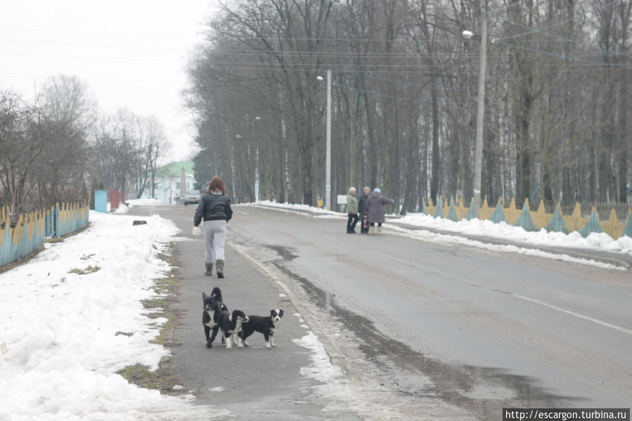 Как мы сбежали на 14 февраля: Часть 2 — шествия пиллигримов Быхов, Беларусь