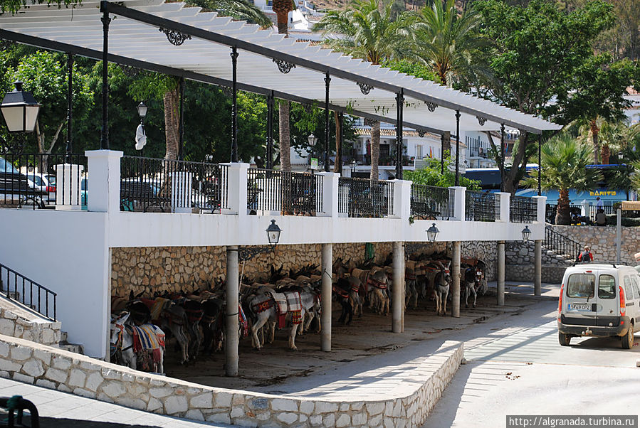 таксопарк таксопарк