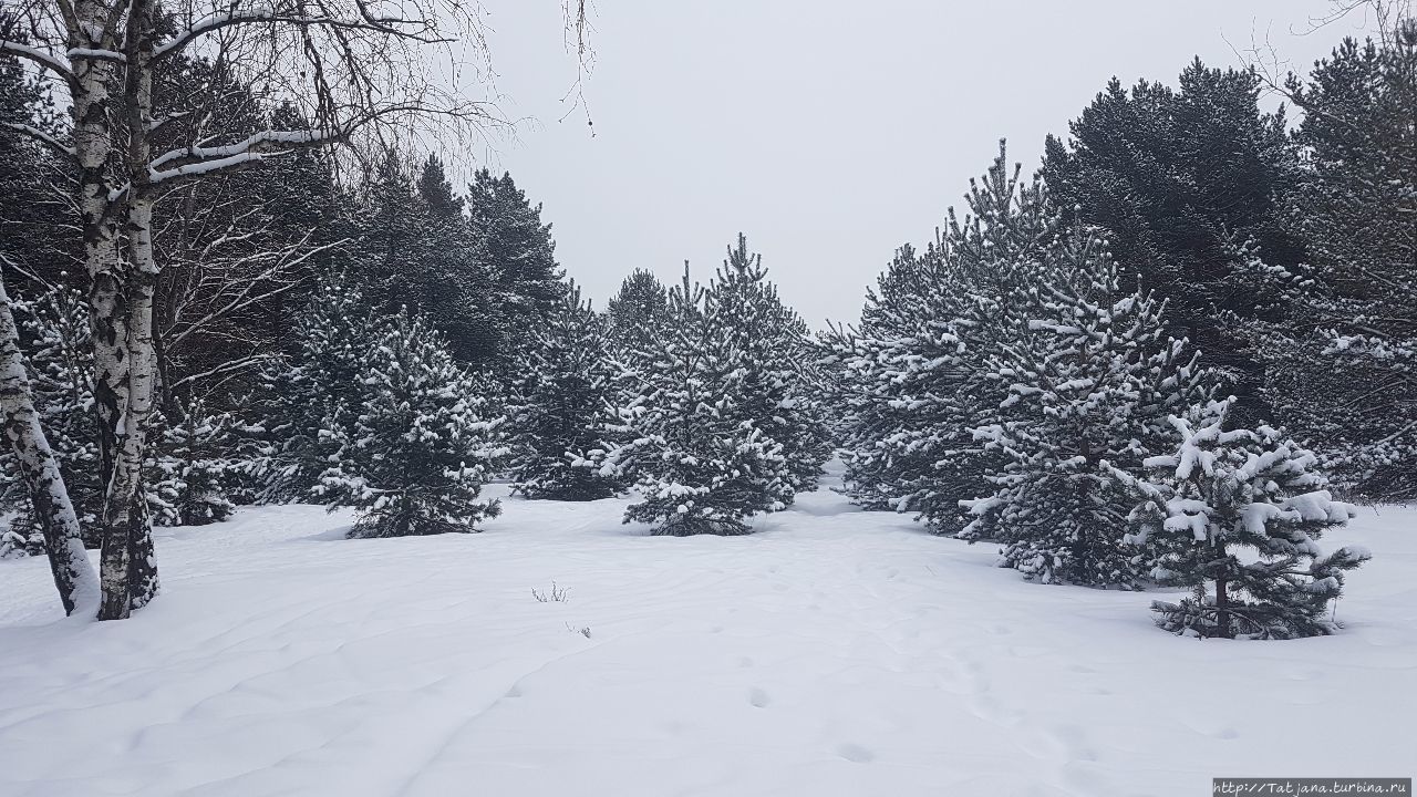 Серебряный бор Москва, Россия