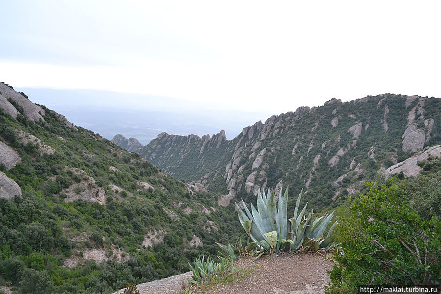 Вид со смотровой площадки верхней станции фуникулёра. Вид со смотровой площадки верхней станции фуникулёра.
