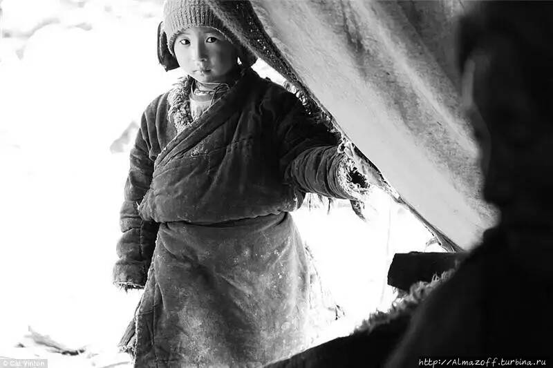 Жизнь кочевников Тибета Ньима, Китай