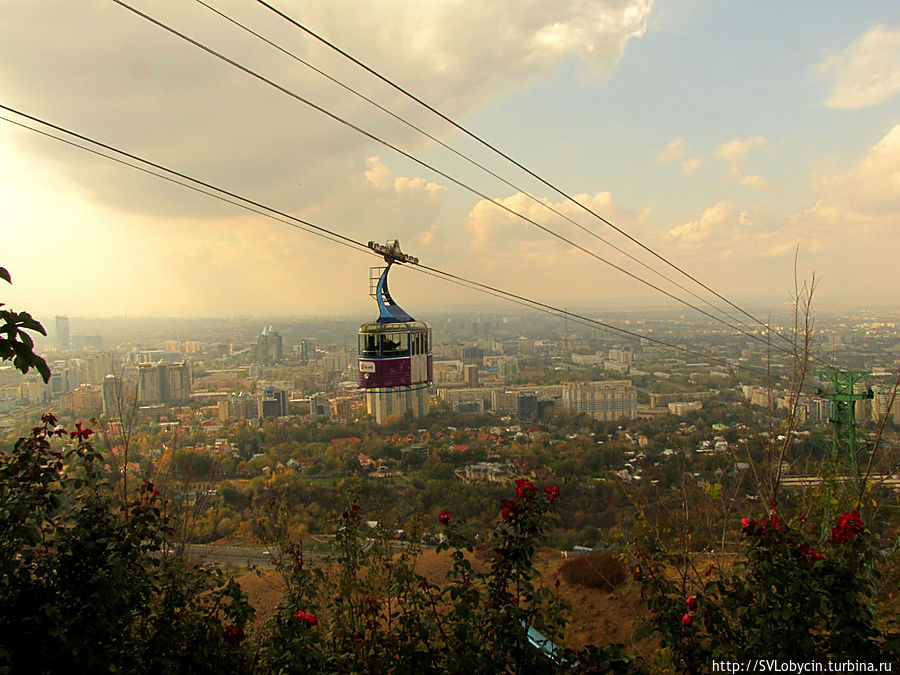 Фаникулер над городом Фаникулер над городом