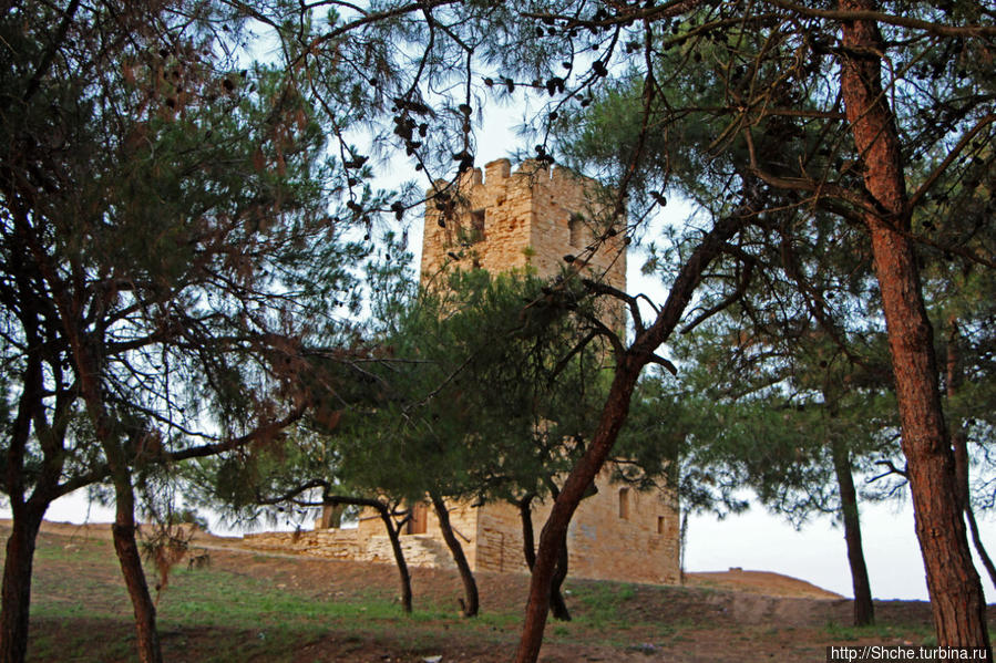 вот показалась Византийская башня сквозь ветви огромных сосен Неа-Фокеа, Греция