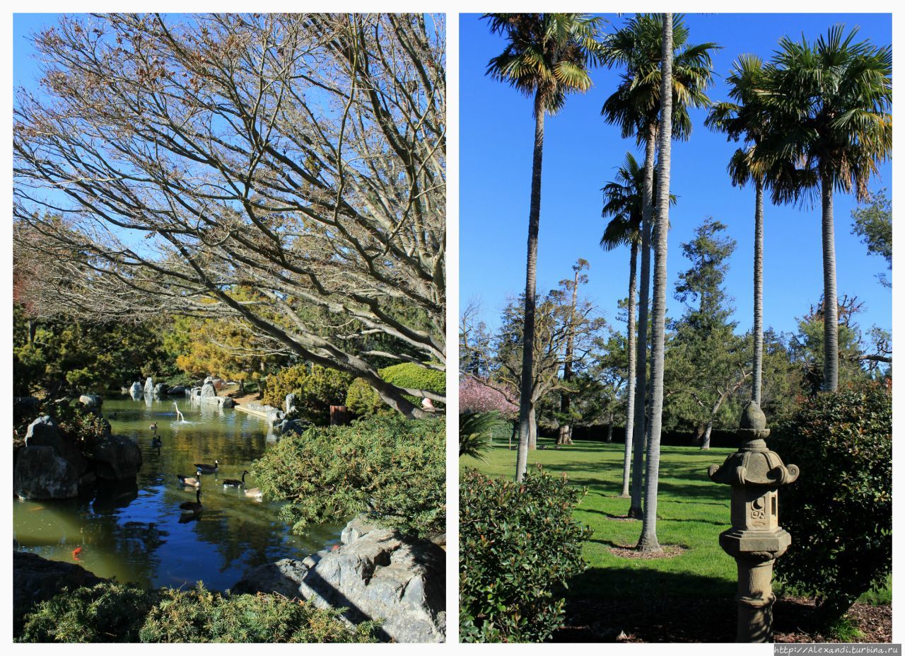 Японский сад дружбы в Сан-Хосе