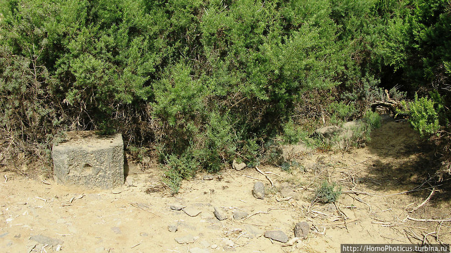 Руины Адулиса Руины Адулиса