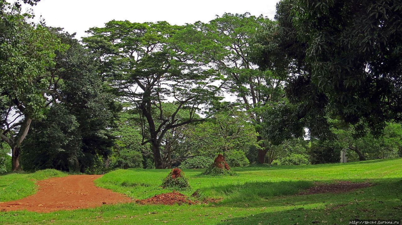 Ботанический сад Энтеббе, Уганда
