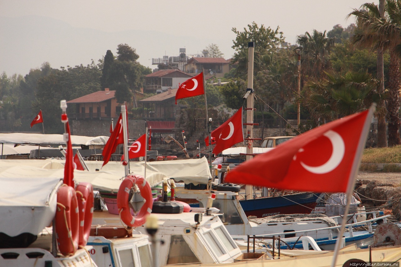 Маковый цвет турецкого берега Сиде, Турция