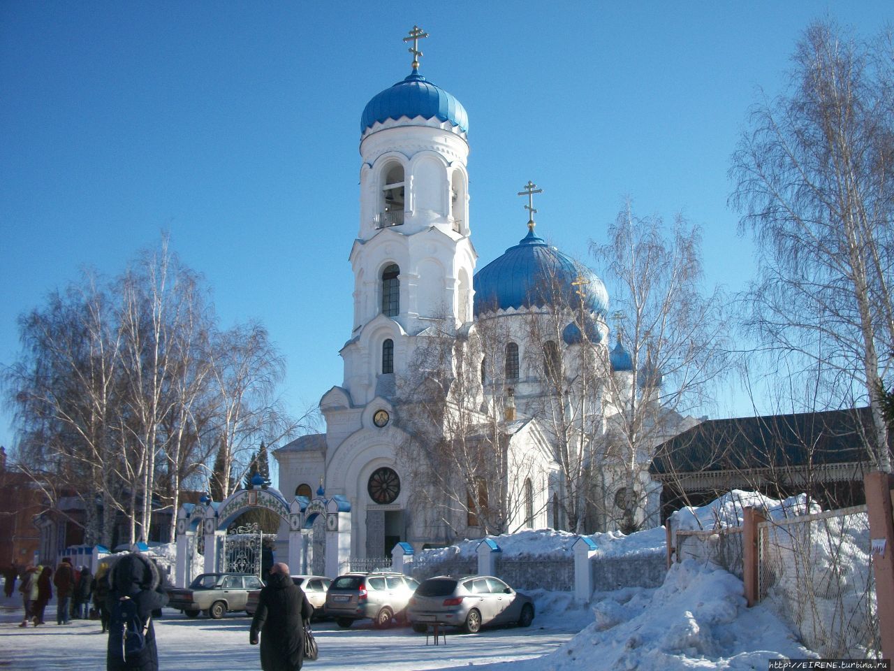 Лебединая песня из Алтайской зимовки Бийск, Россия