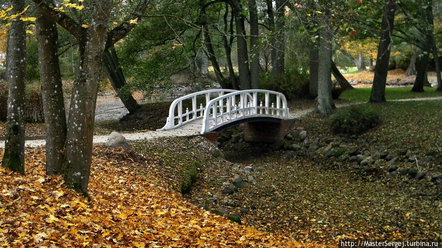 Осень в Паланге Паланга, Литва