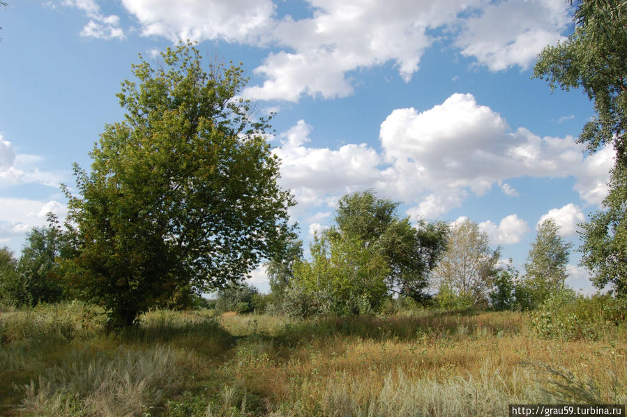 Озеро Садовское: голубая подкова в изумруде зелени Садовое, Казахстан