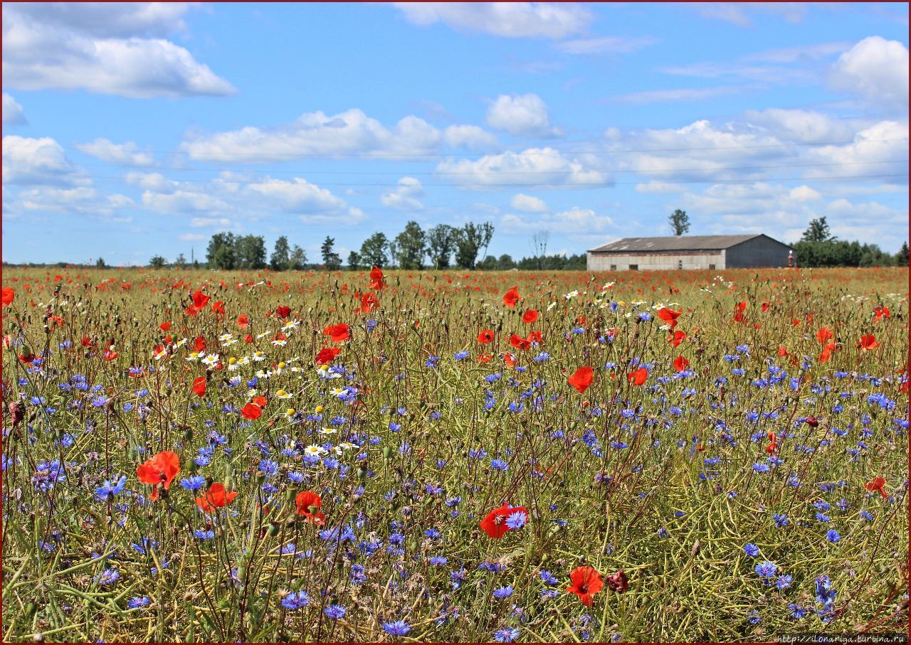 Про лето Латвия Про лето Латвия