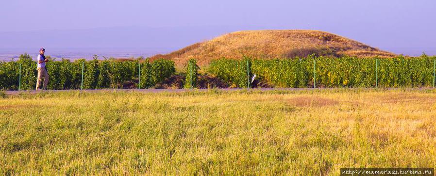 скифский курган среди виноградников Тургень, Казахстан