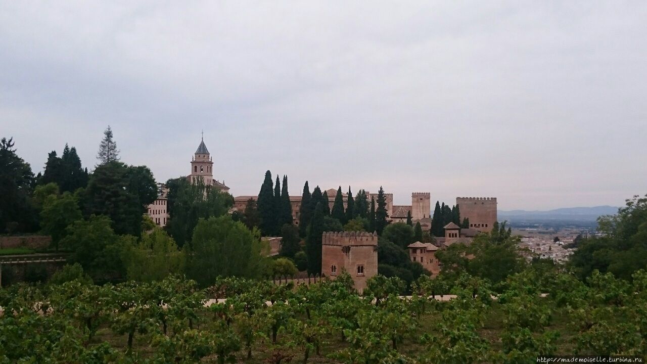 Вид на Альгамбру Испания
