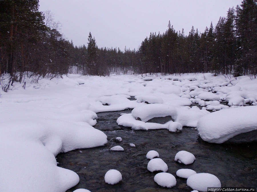 Река Гольцовка Хибины Национальный Парк, Россия Река Гольцовка Хибины Национальный Парк, Россия