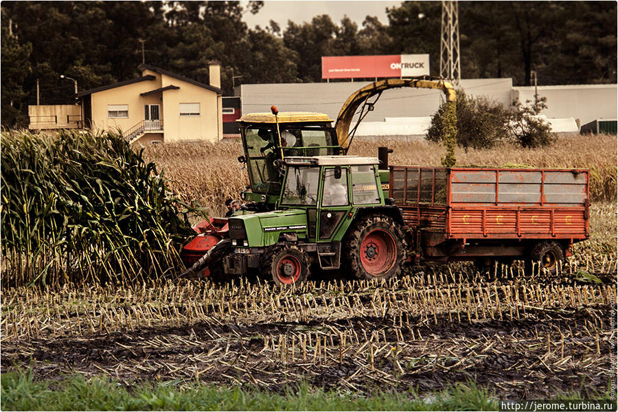 Сельское хозяйство. Трактор. Поргугалия. (Agriculture. Tractor. Portugal.) Виана-ду-Каштелу, Португалия