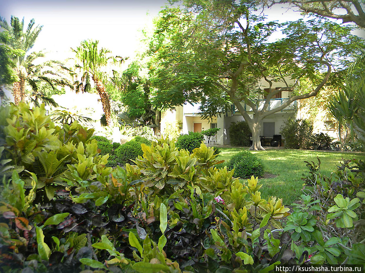 Жилые дома утопают в зеле Жилые дома утопают в зеле