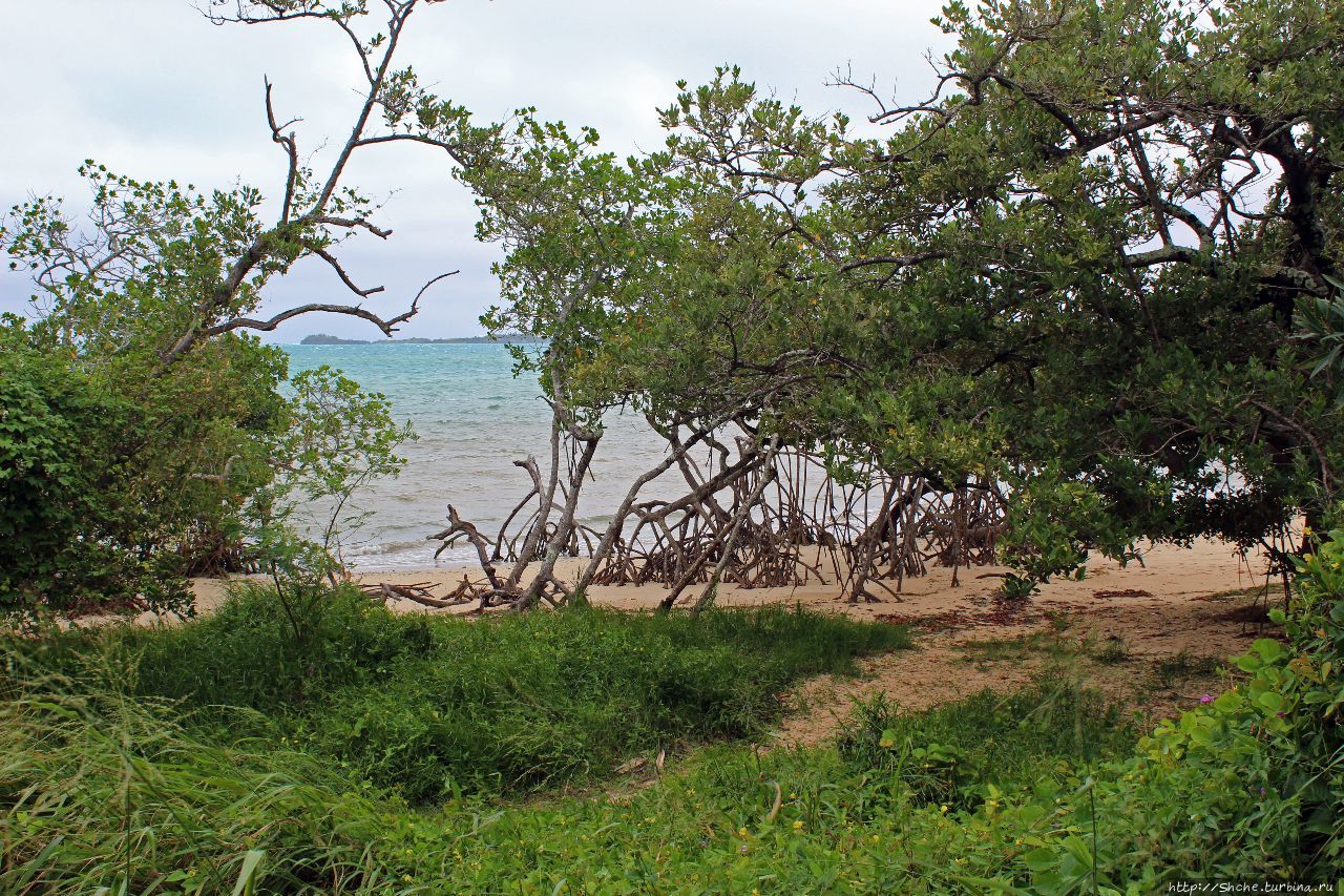 У природы нет плохой погоды (кусочек полудиких Бермуд) Остров Бермуда (главный остров архипелага), Бермуды