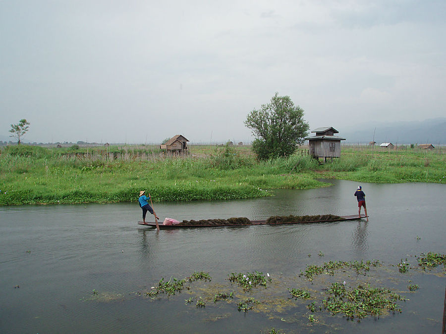 Озеро Инле. Безмятежность Озеро Инле, Мьянма Озеро Инле. Безмятежность Озеро Инле, Мьянма