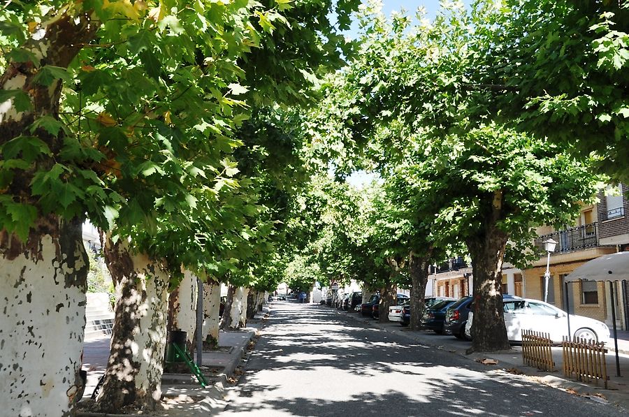 Аллеи Риопара Аллеи Риопара