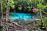 И вот наконец наша цель была достигнута. Невероятное бирюзовое свечение воды голубого озера пробивалось сквозь густые заросли тропического леса.