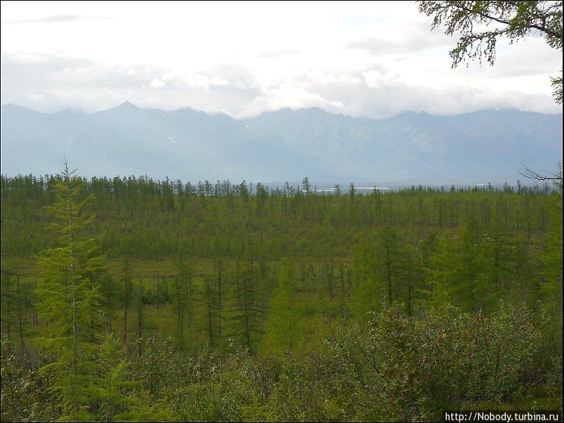 Чарское бездорожье Новая Чара, Россия