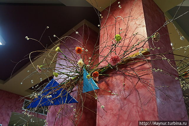 Открытие ледового дворца Открытие ледового дворца