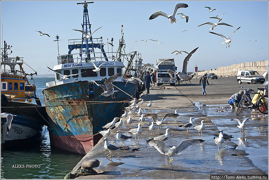 Чайки, корабли — что еще нужно романтикам для счастья...
* Агадир, Марокко
