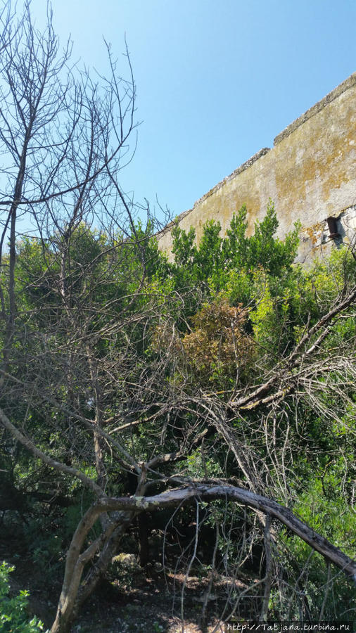 Остров Козада и руины  военно-морского форта Большой Бриун, Хорватия