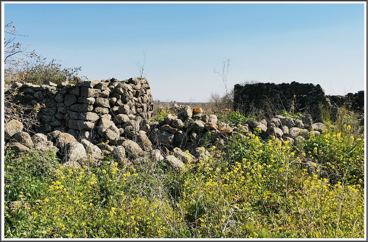 Руины деревни Дейр-Керух Заповедник Гамла, Израиль