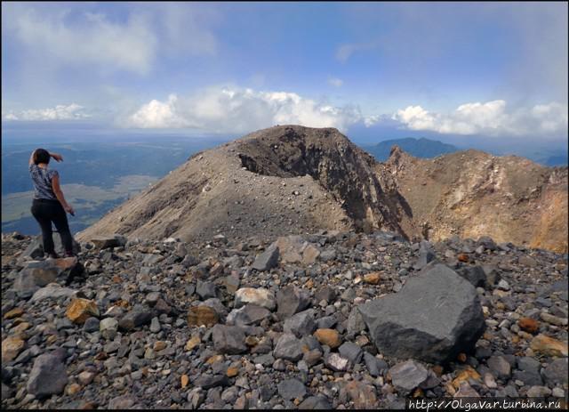 Лесные истории Филиппины Лесные истории Филиппины