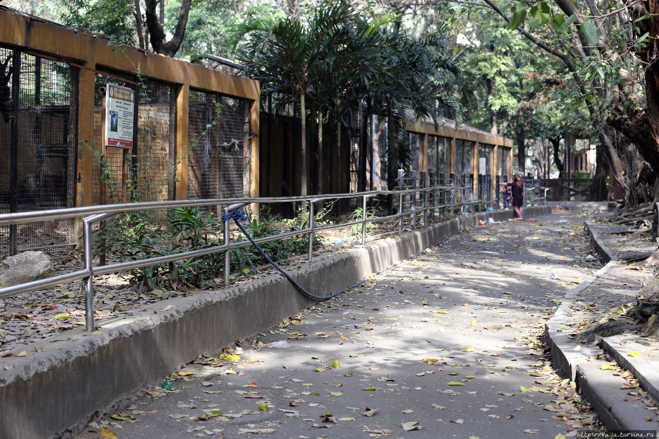 Зоопарк Манилы Манила, Филиппины Зоопарк Манилы Манила, Филиппины