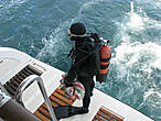 Во время путешествия дайв-гид погружается с борта катера на дно океана и собирает морских ежей и крабов.