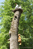 21. Деревянный кот лезет по деревянному стволу к гнезду с деревянными аистами. Интересно, доберётся или нет?
