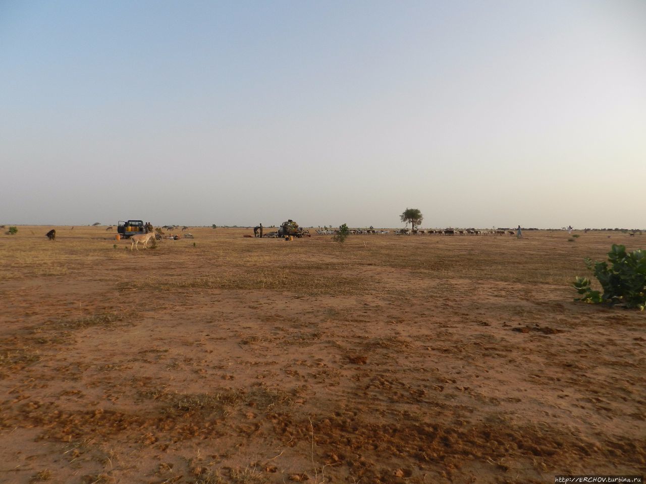 Нигер. Ч — 11. Утро в пустыне Департамент Агадес, Нигер