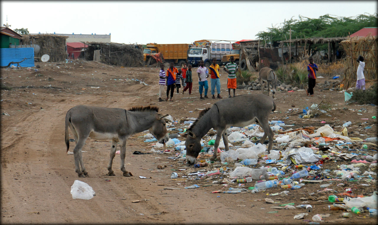 Сомалиленд — послесловие Сомалиленд Сомалиленд — послесловие Сомалиленд