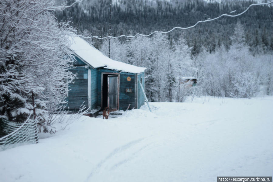 Милый глупый Чупакабра Мурманская область, Россия Милый глупый Чупакабра Мурманская область, Россия