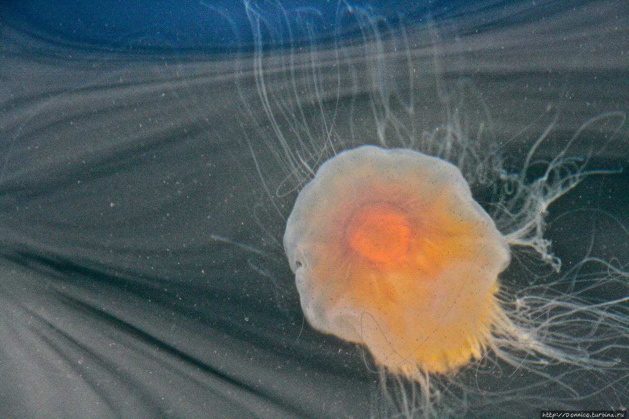 Водяное Солнце Ставангер, Норвегия Водяное Солнце Ставангер, Норвегия
