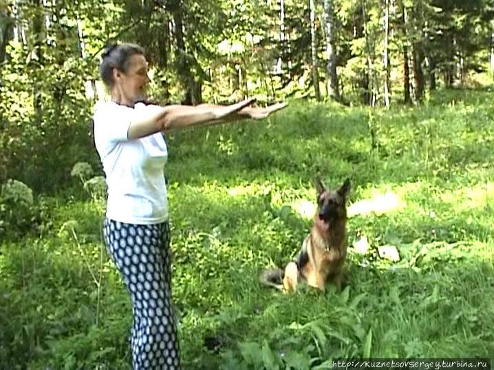 Седьмая поездка в Германию на Зигер в Ульм. Начало и Брест. Брест, Беларусь