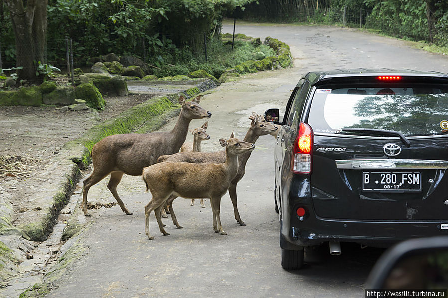 Попрашайки. Попрашайки.