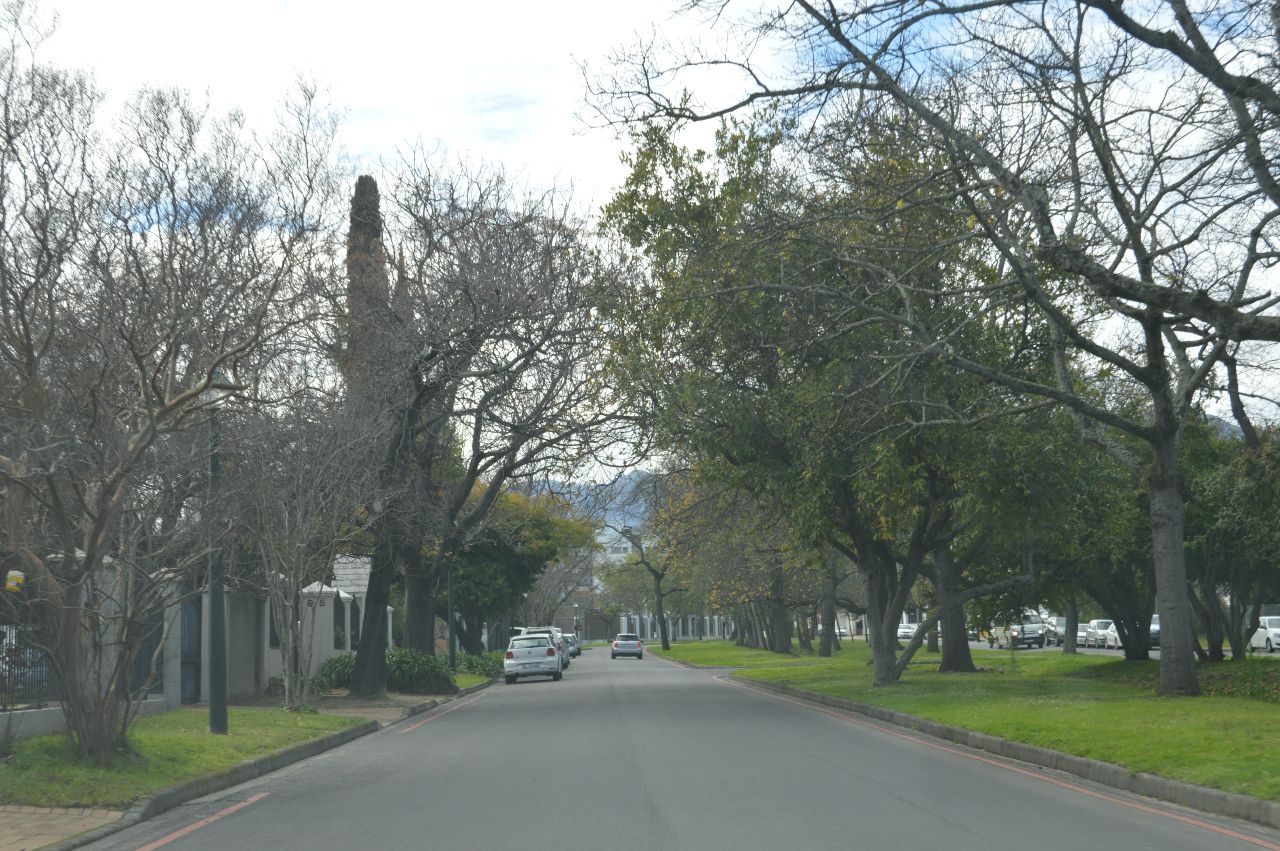 Южноафриканский Стелленград Стелленбош, ЮАР