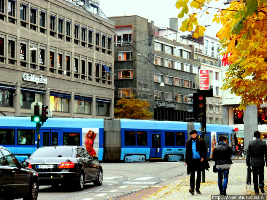 Осенняя загадка Скандинавии Осенняя загадка Скандинавии