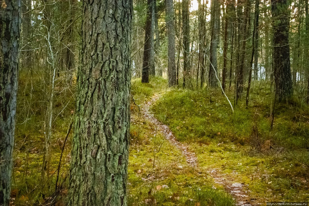 Природный парк Рагакапа Юрмала, Латвия