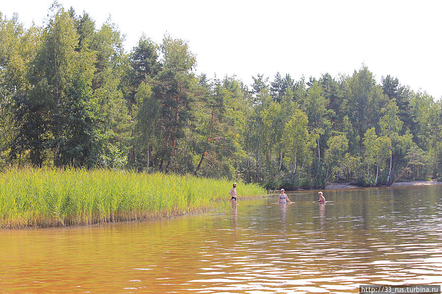 Рубское озеро — чудо озеро Тейково, Россия