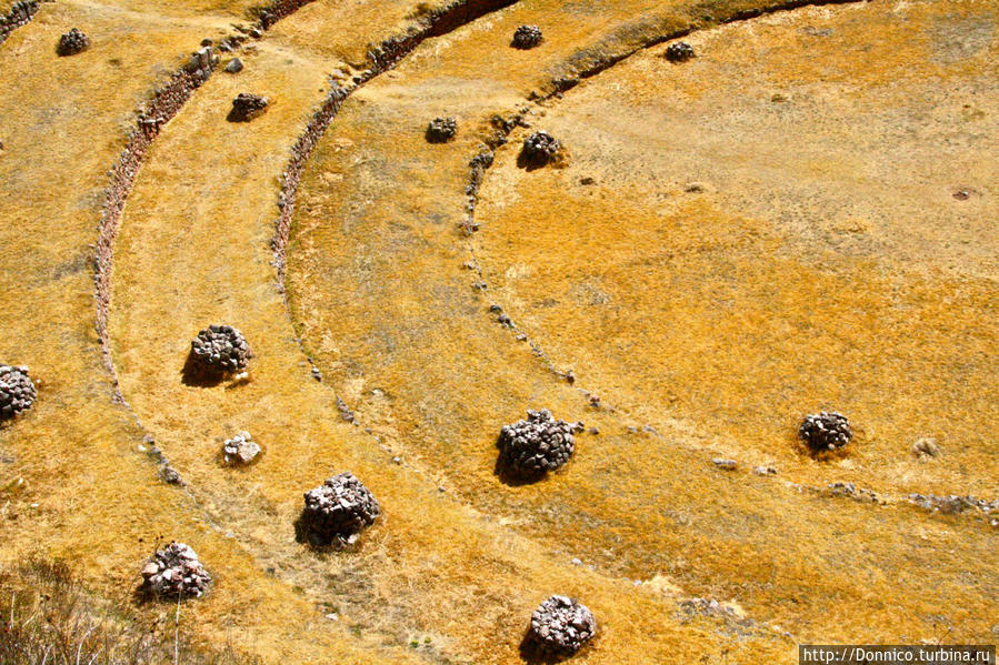 Золотые Кольца Морэя Марас, Перу Золотые Кольца Морэя Марас, Перу