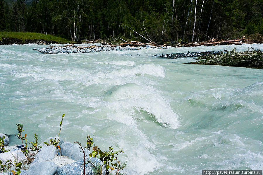 Молочные реки Беловодья Молочные реки Беловодья