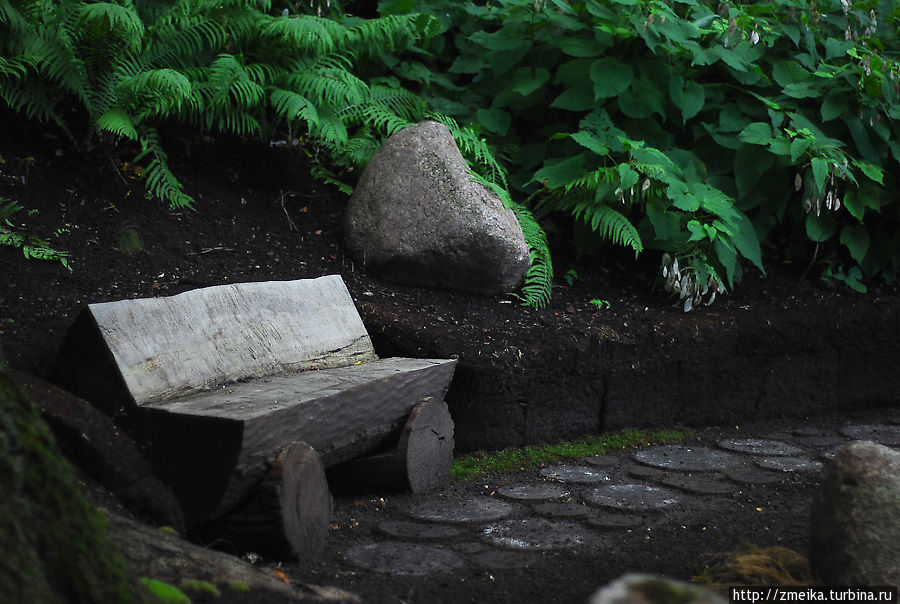 В разных уютных уголках сада есть скамеечки Тарту, Эстония