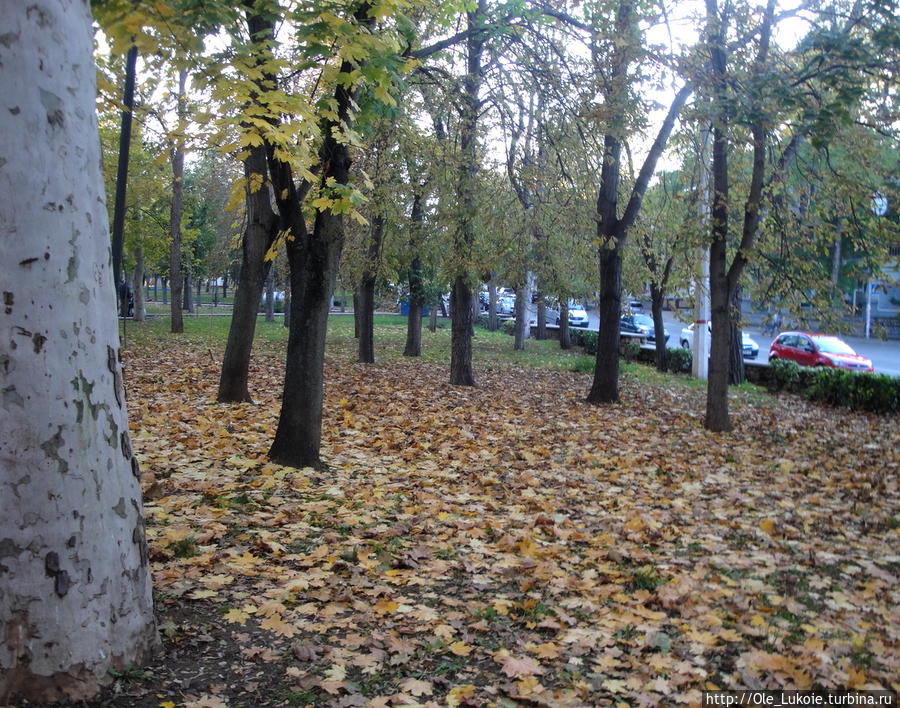 Севастополь осенний......октябрь 2013 Севастополь, Россия