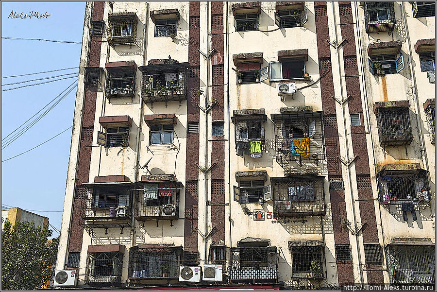Индийские скворечники — типа наших квартир...
* Мумбаи, Индия