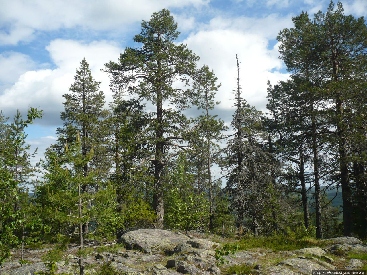 Смотровая вышка на горе Авасакса Юлиторнио, Финляндия